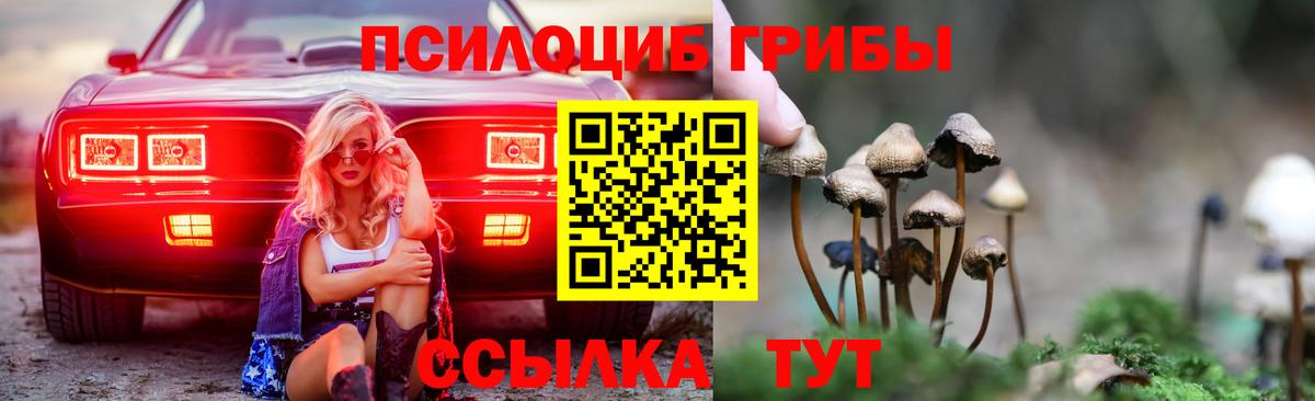 Галлюциногенные грибы GOLDEN TEACHER  Галлюциногенные грибы мухоморы  купить   Славгород  Вход с VPN 